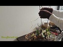 youtube - [Video]