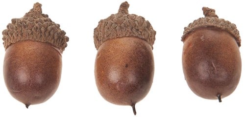 [A-008957] Eikeltjes kunst los 2,5 cm 24 stuks