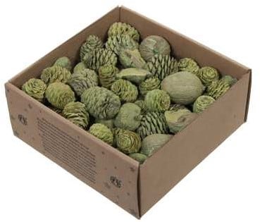 [A-027001] Leucodendron assortiment Green wash 640 gram