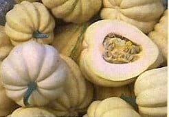 [A-017995] T Sanders Sweet Potato Pompoen basiseenheid zaden